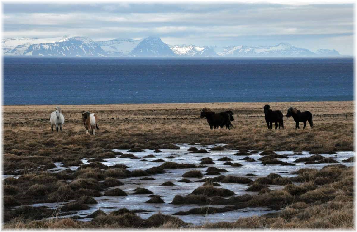 Island im Winter per Rad