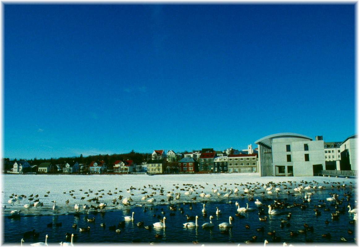 Tjörnin und Rathaus in Reykjavík