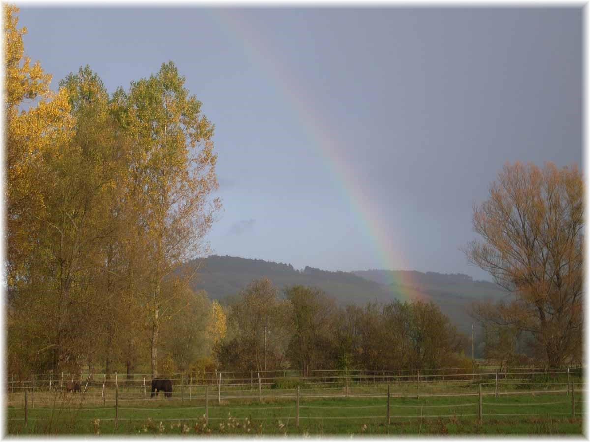 Regenbogen