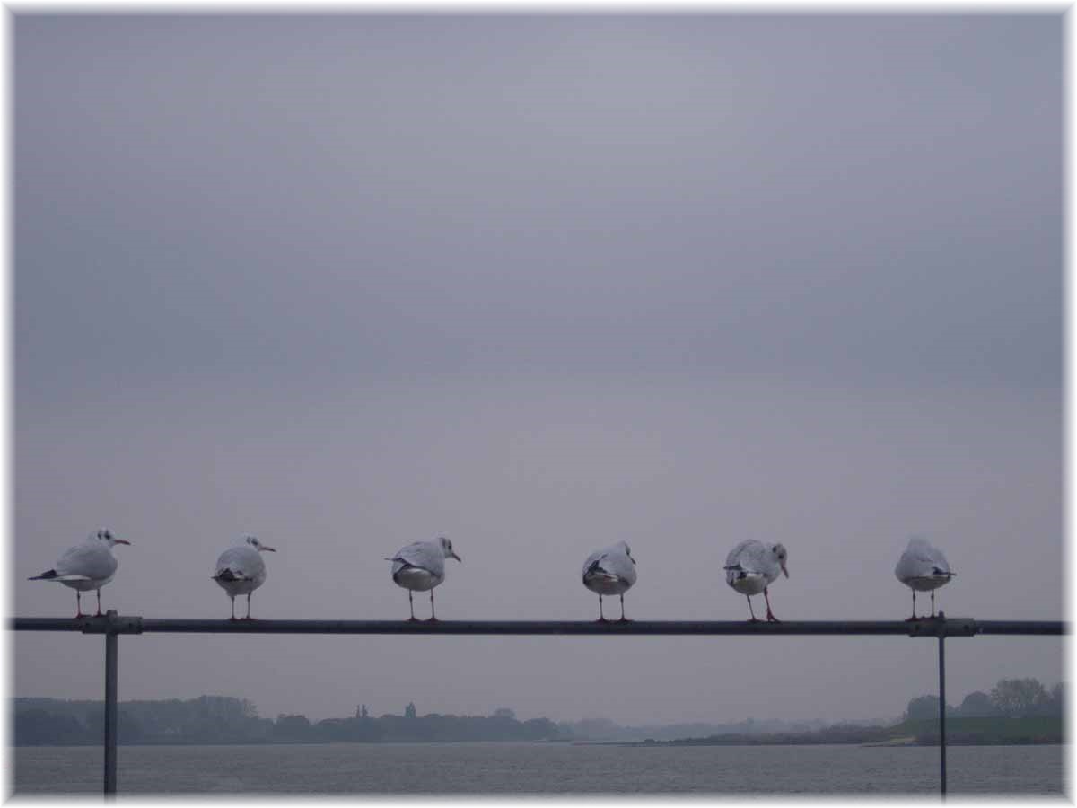 Die Elbe ist erreicht!