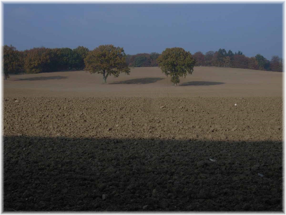 Herbstliche Acker