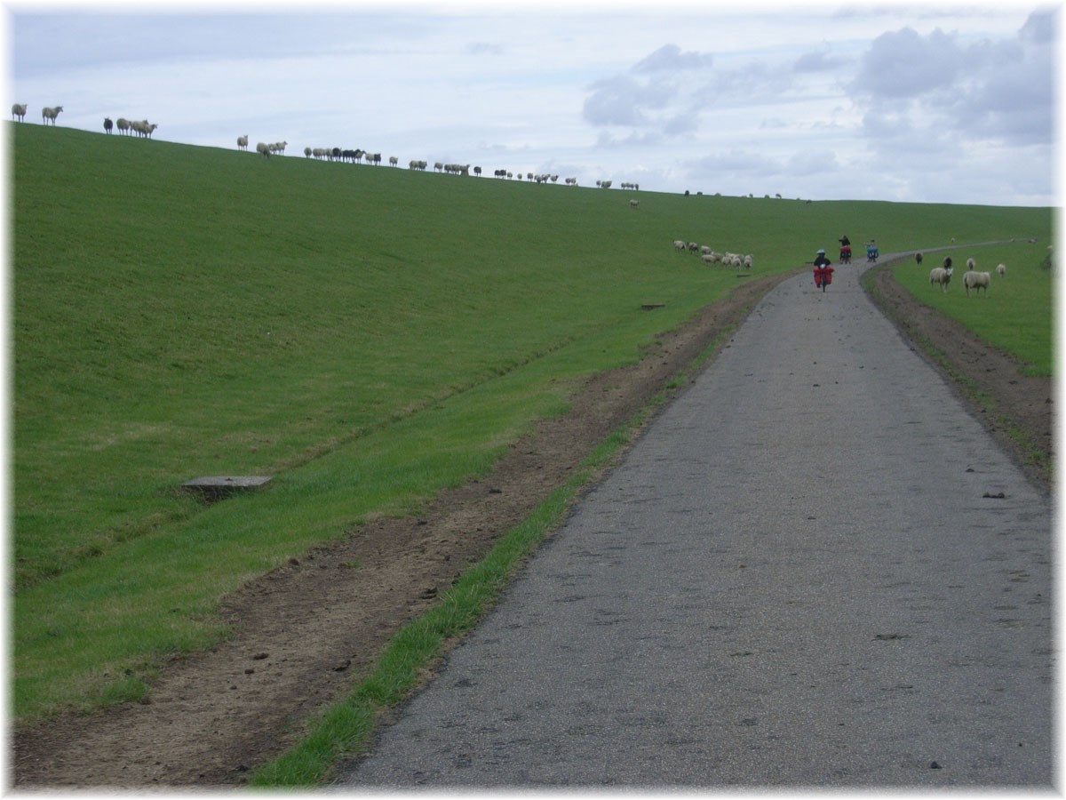 Nordseeküstenradweg, North Sea Cycle Route, Niederlande