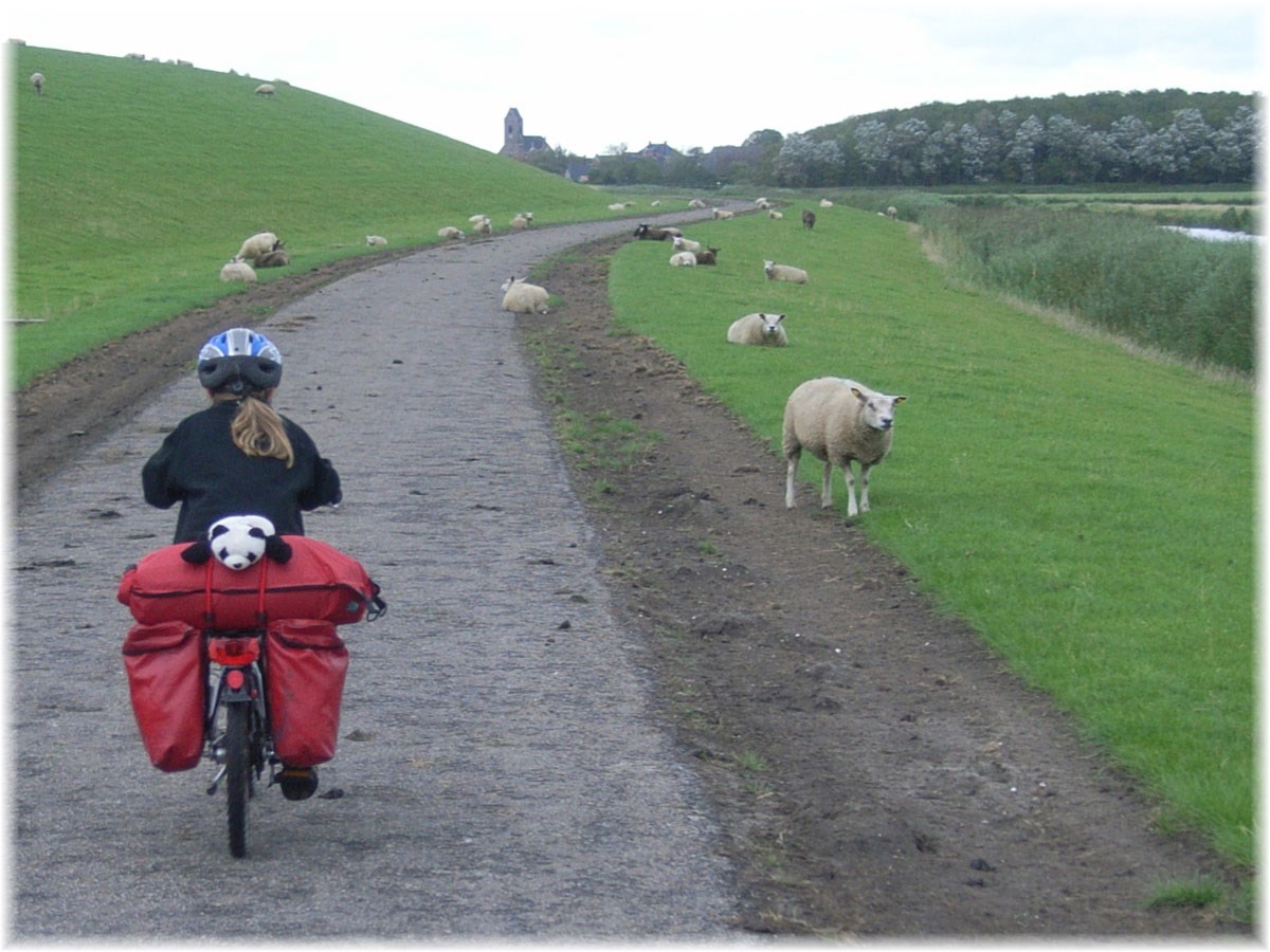 Nordseeküstenradweg, North Sea Cycle Route, Niederlande