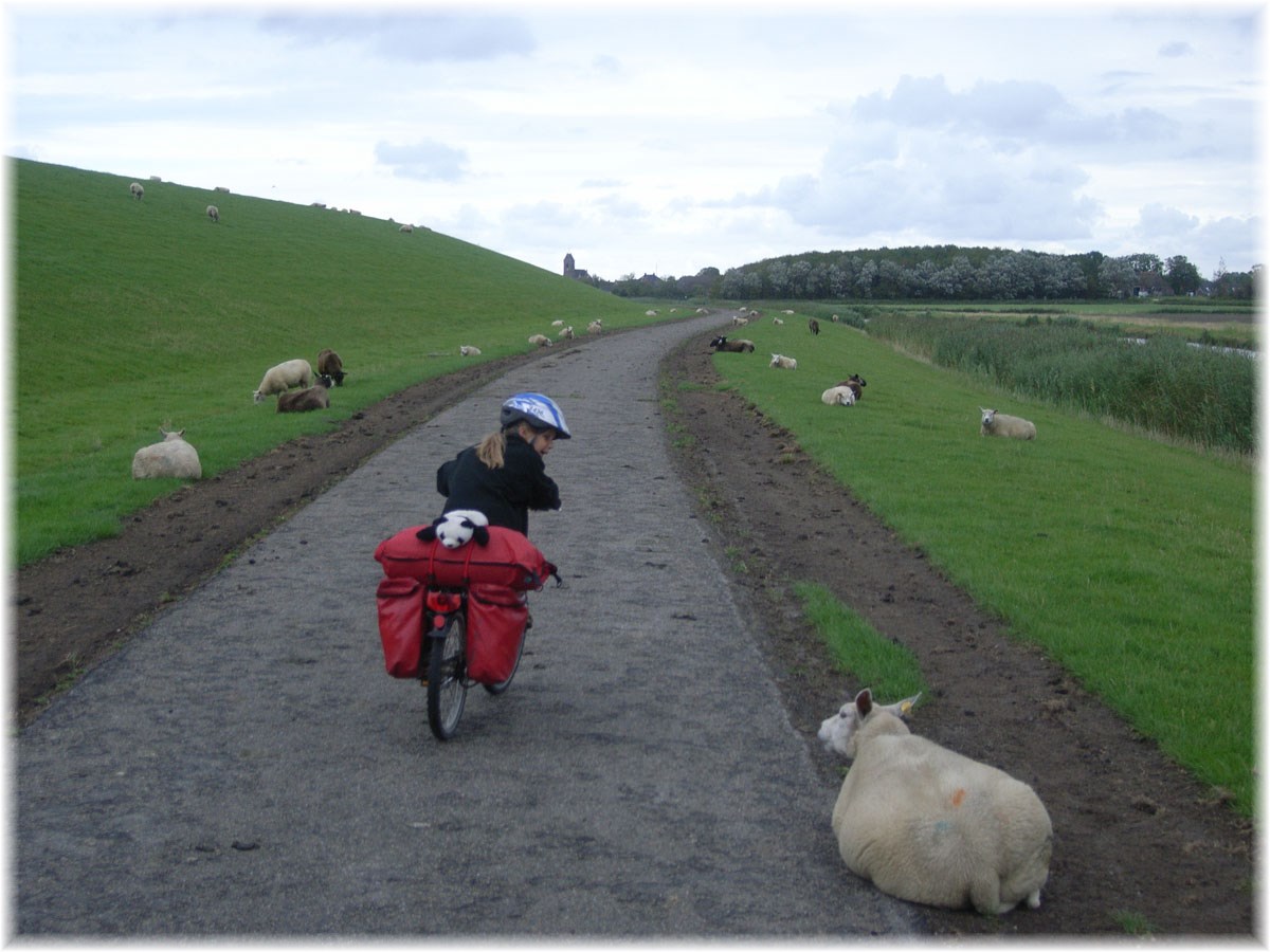 Nordseeküstenradweg, North Sea Cycle Route, Niederlande