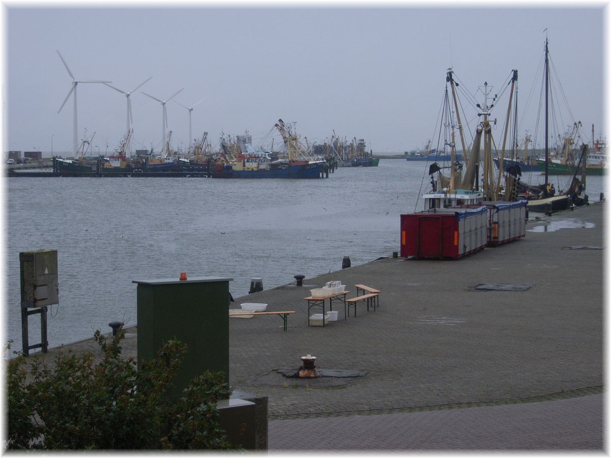 Nordseeküstenradweg, North Sea Cycle Route, Niederlande, Hafen von Lauwersoog