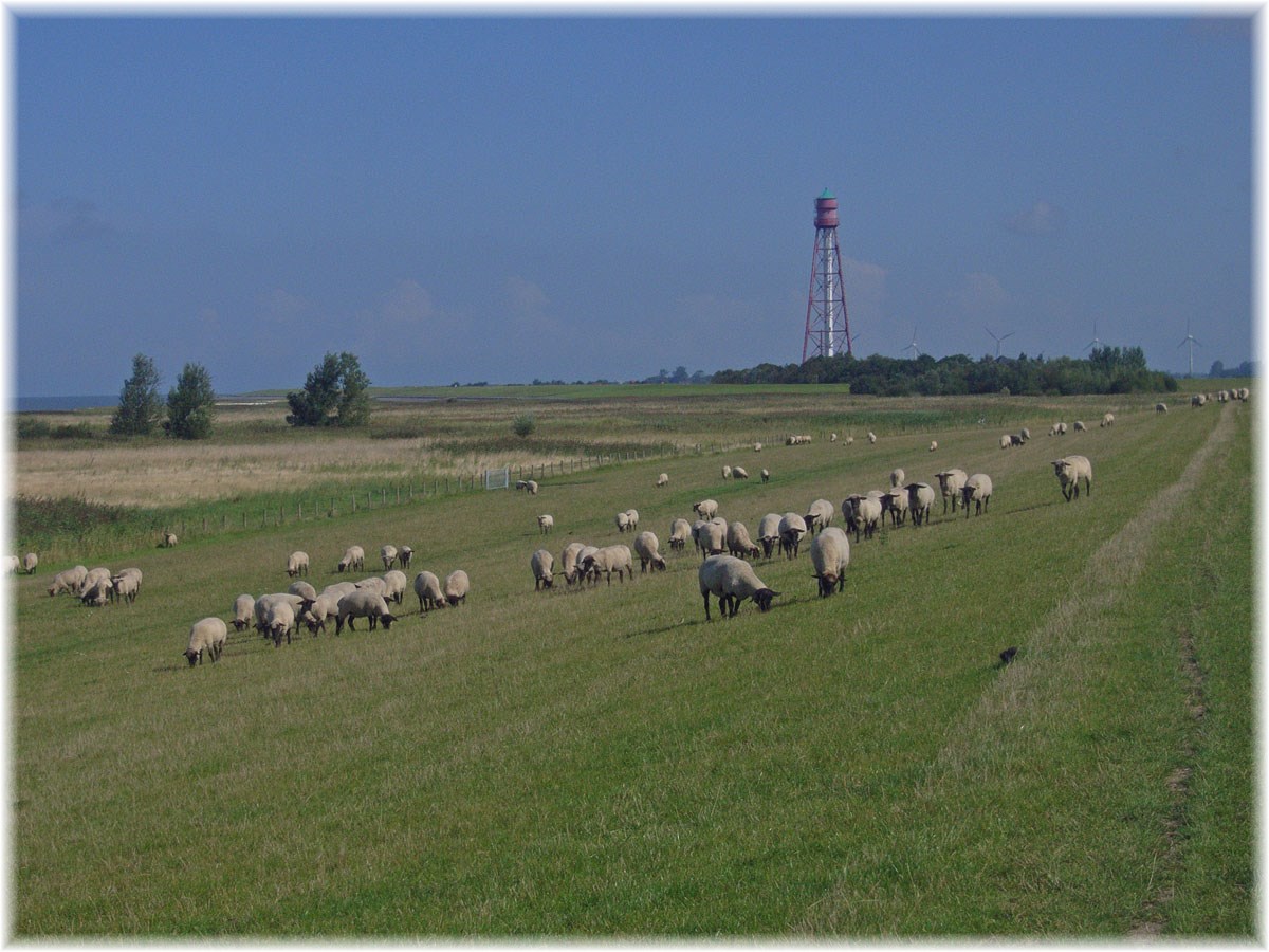 Nordseeküstenradweg, North Sea Cycle Route