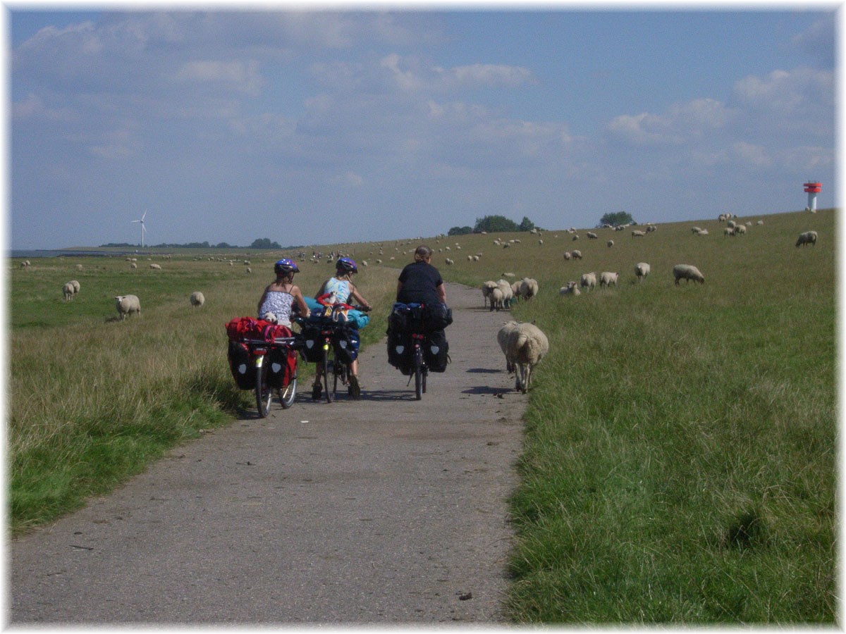 Nordseeküstenradweg, North Sea Cycle Route