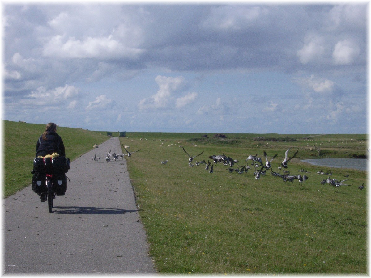 Nordseeküstenradweg, North Sea Cycle Route, Deutschland