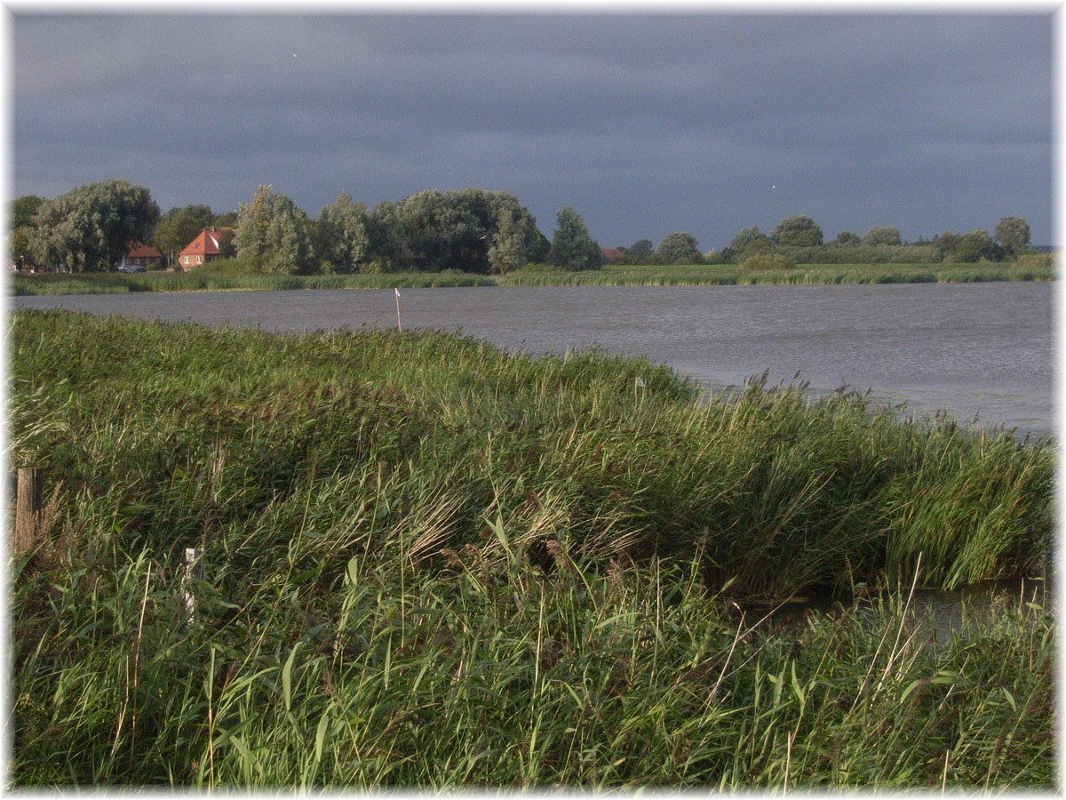 Nordseeküstenradweg, North Sea Cycle Route, Dänemark, Rudbl