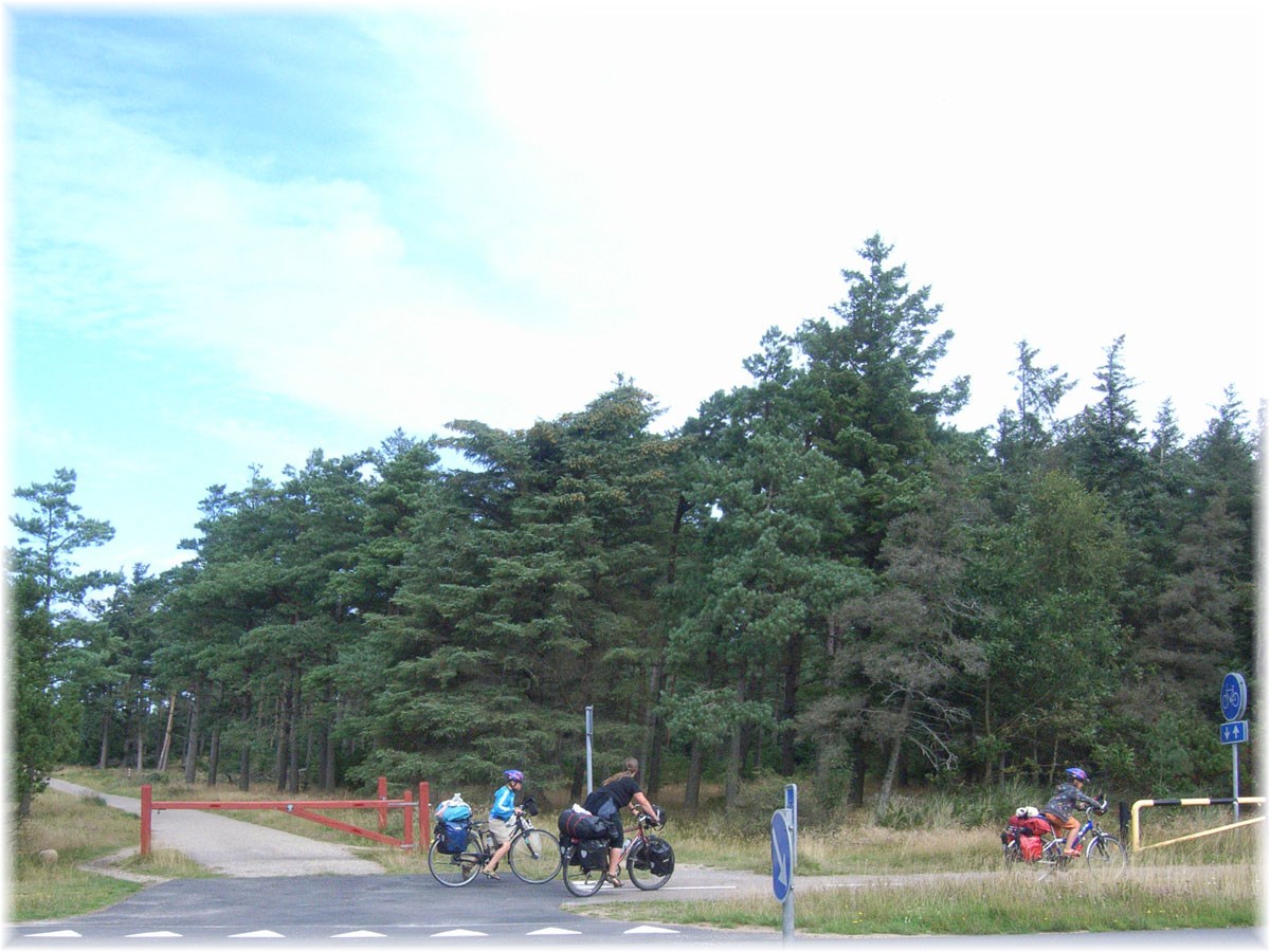 Nordseeküstenradweg, North Sea Cycle Route, Dänemark, Vejers Strand