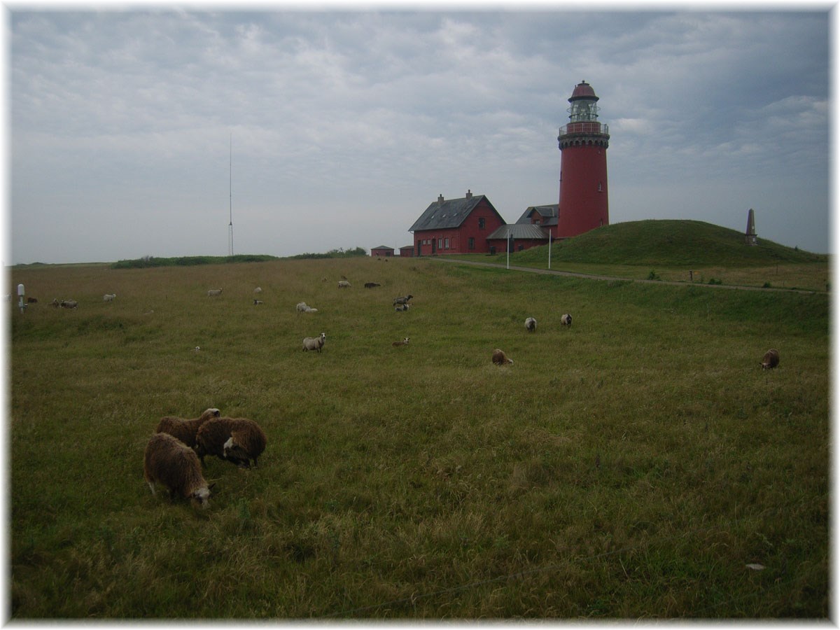 Nordseeküstenradweg, North Sea Cycle Route, Dänemark, Bovbjerg Fyr