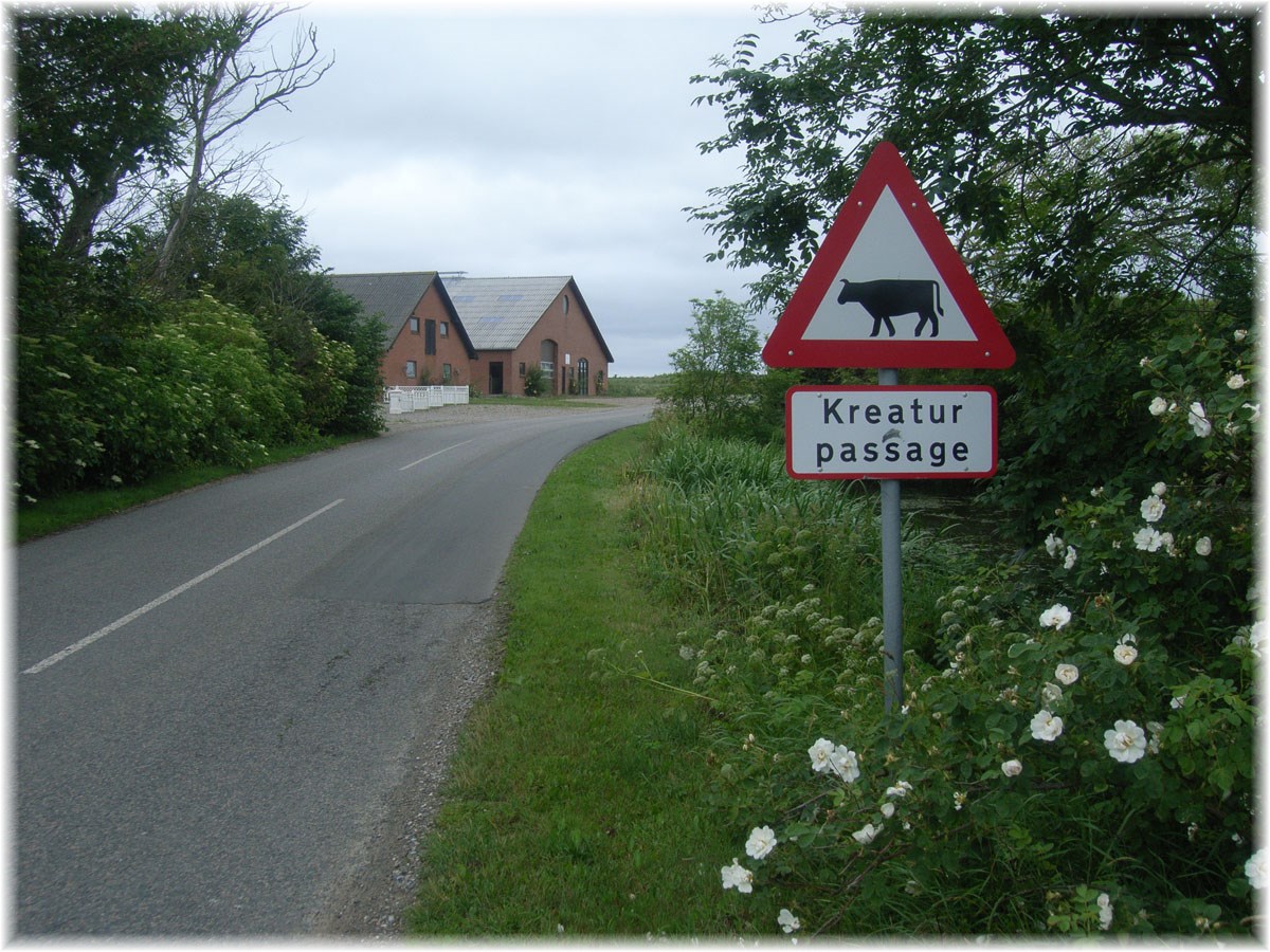 Nordseeküstenradweg, North Sea Cycle Route