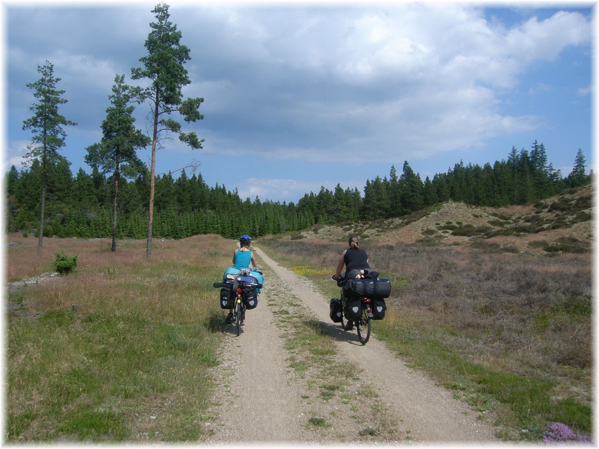 Nordseeküstenradweg, North Sea Cycle Route, Dänemark