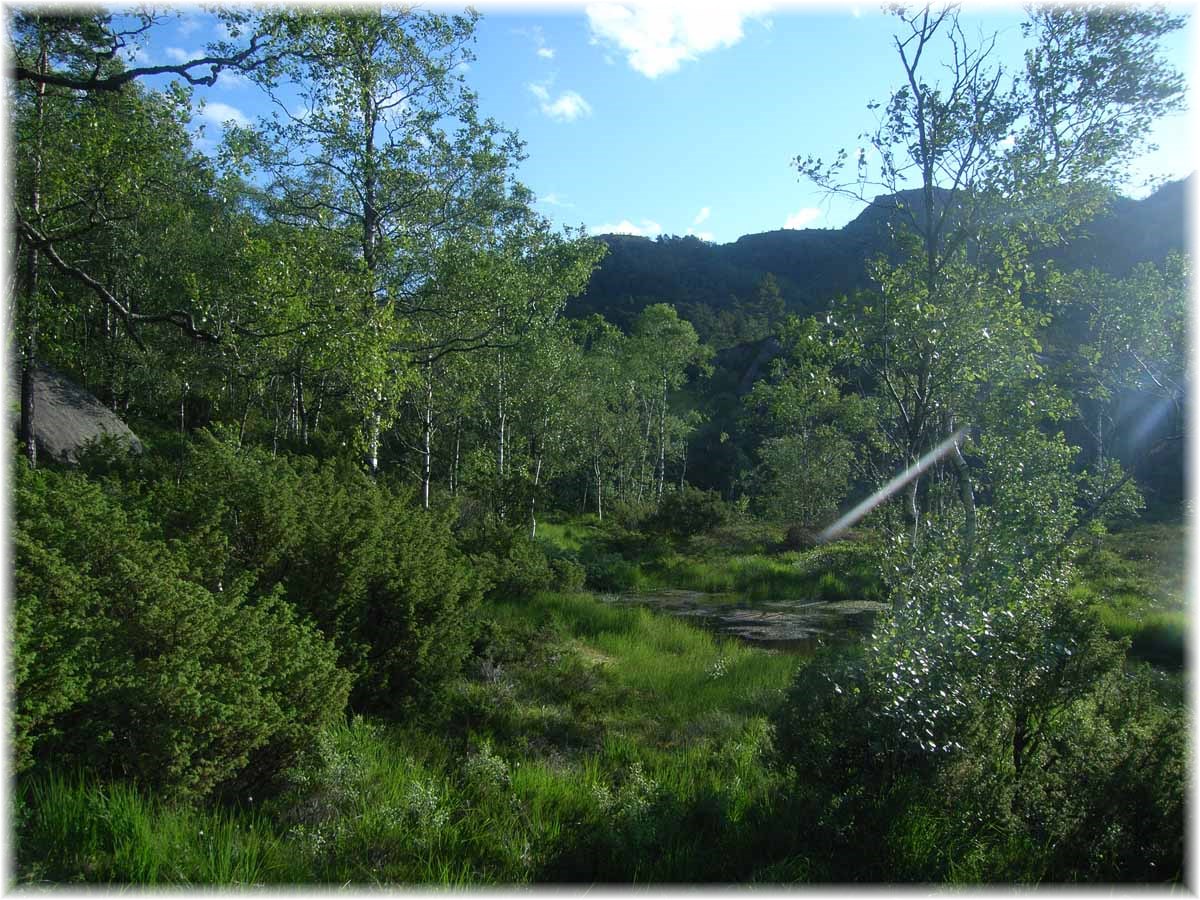 Nordseeküstenradweg, North Sea Cycle Route, Norwegen, Aufstieg zum Preikestolen