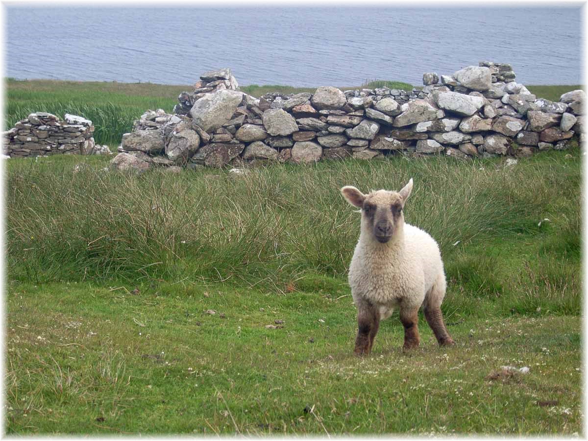 Nordseeküstenradweg, North Sea Cycle Route, Shetland