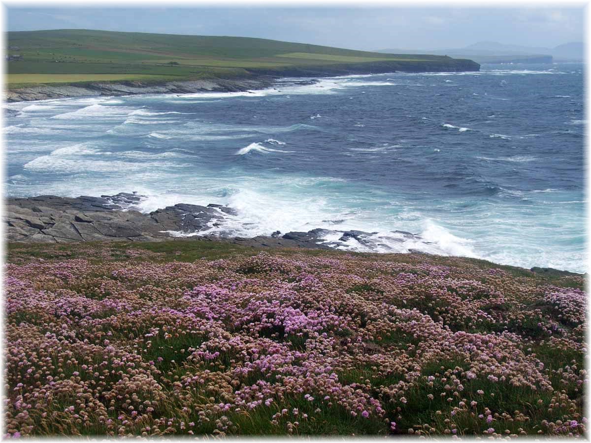 Nordseeküstenradweg, North Sea Cycle Route, Orkney