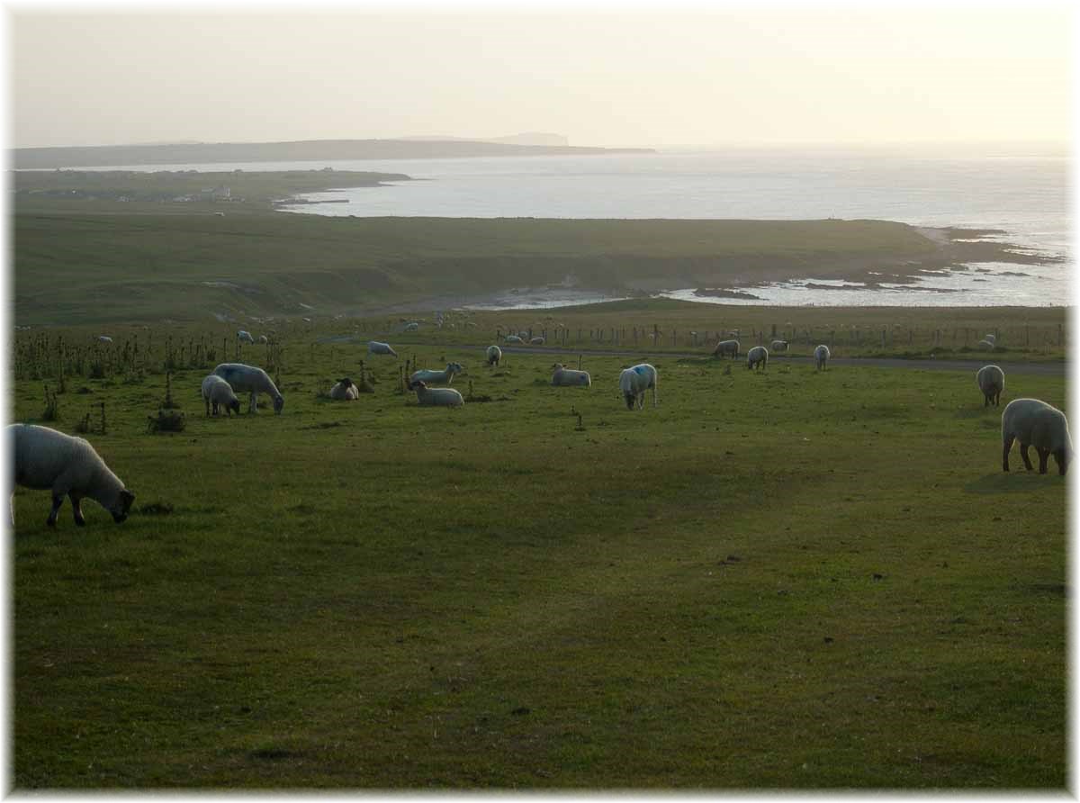 Nordseeküstenradweg, North Sea Cycle Route