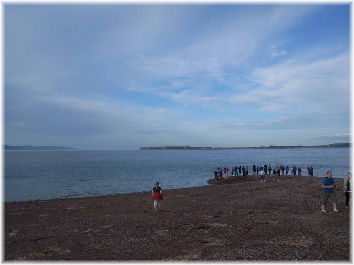 Nordseeküstenradweg, North Sea Cycle Route, Schottland, Delfine im Moray Firth