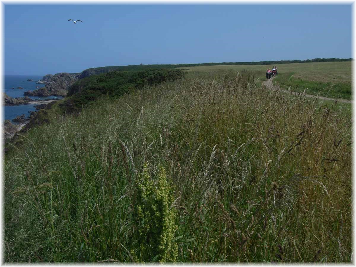 Nordseeküstenradweg, North Sea Cycle Route, Schottland