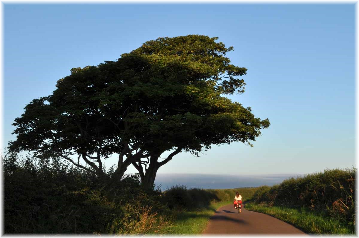 Nordseeküstenradweg, North Sea Cycle Route, England