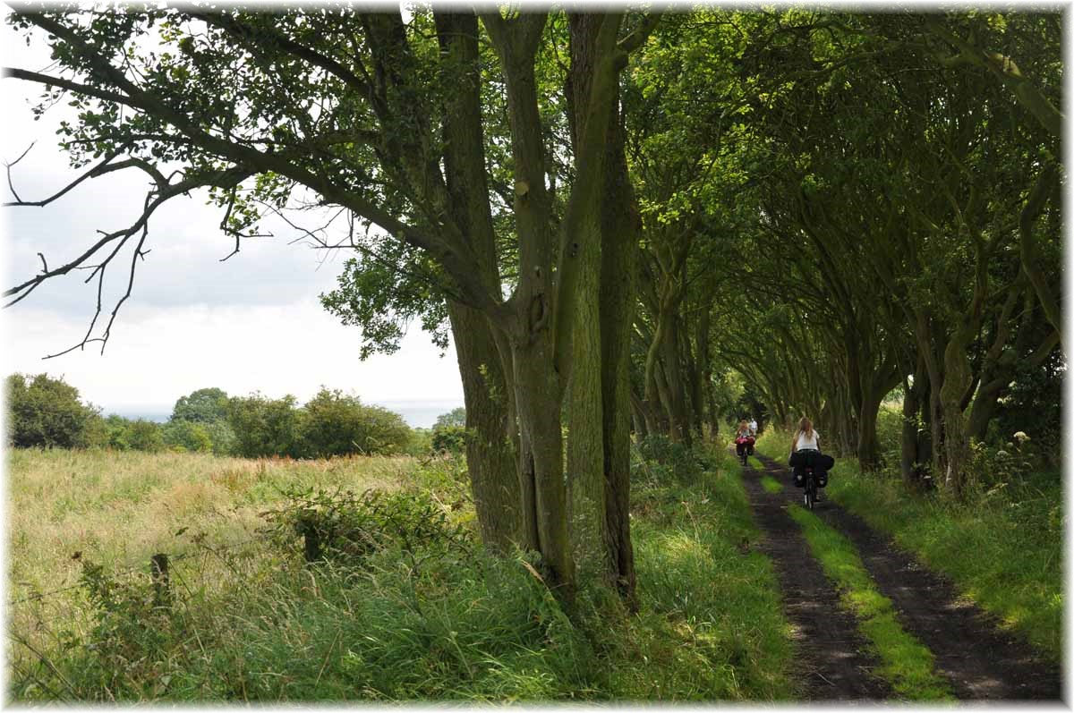 Nordseeküstenradweg, North Sea Cycle Route, England