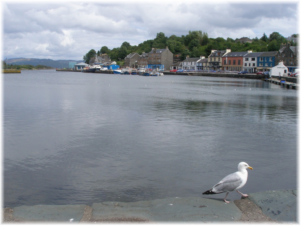 Am Hafen von Tarbert