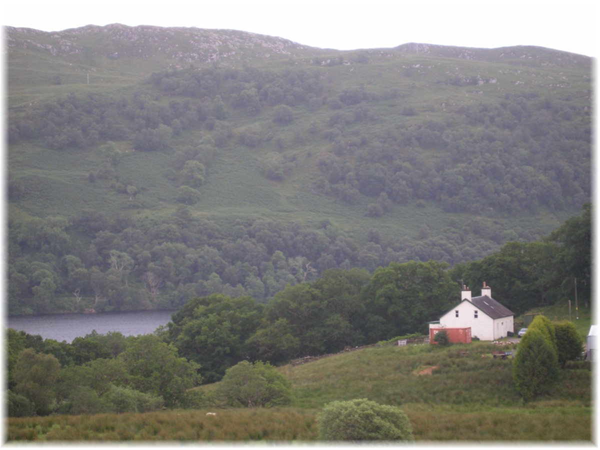 Haus am Fjord