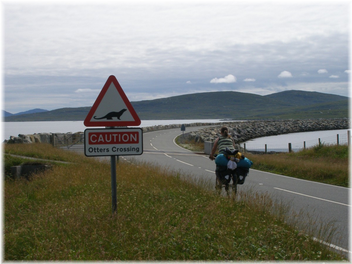 Äußere Hebriden, North Uist, Otters crossing!