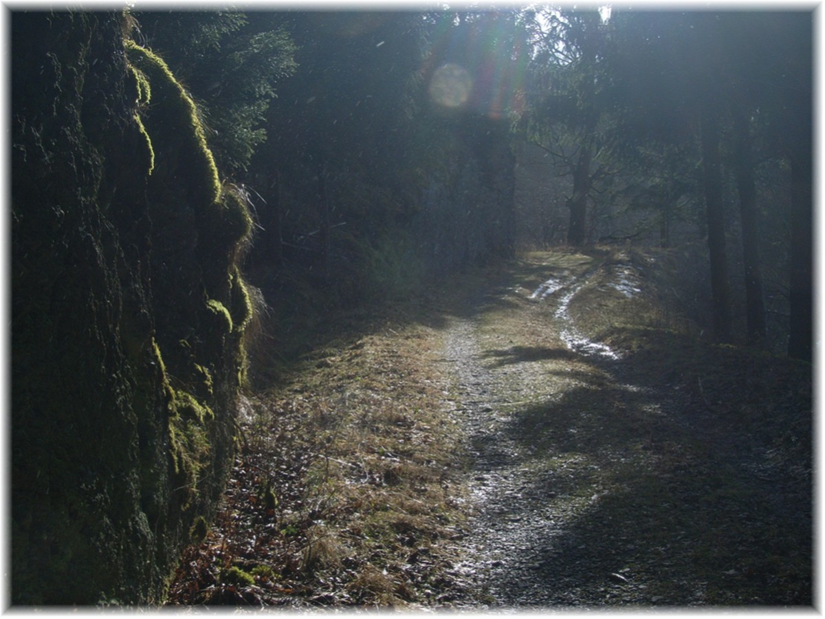 Wanderweg im Gegenlicht