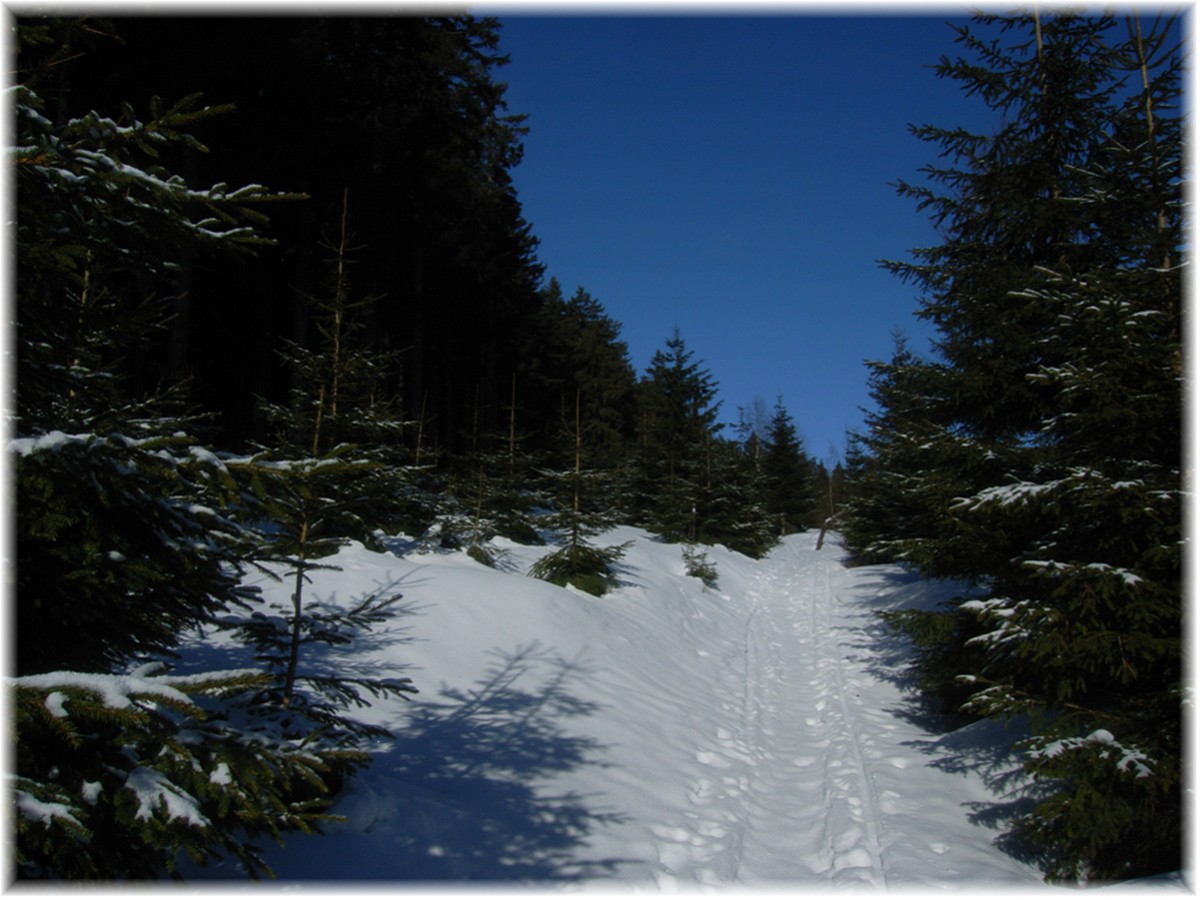 Verschneiter Weg