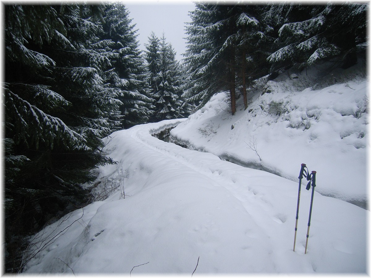 Verschneiter Wanderweg