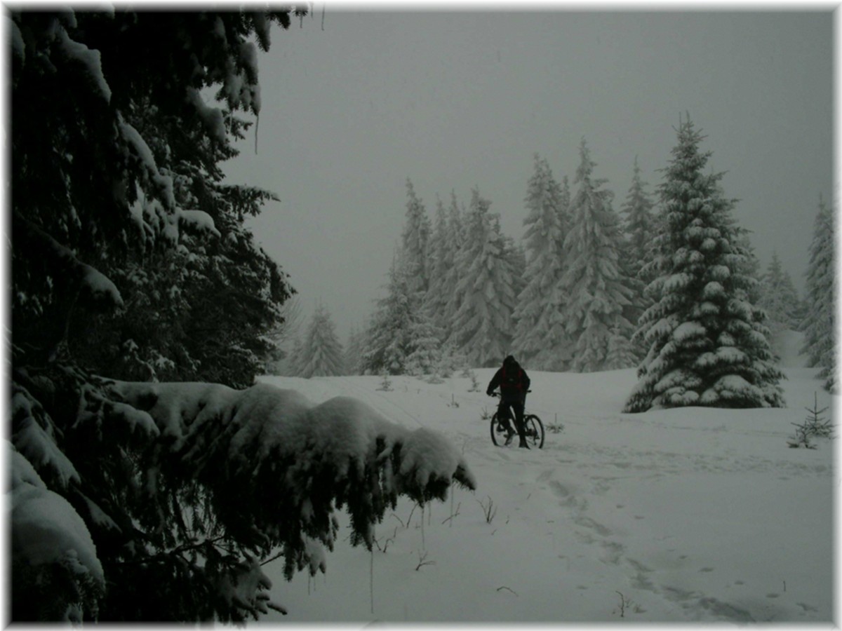 Radler im Schnee