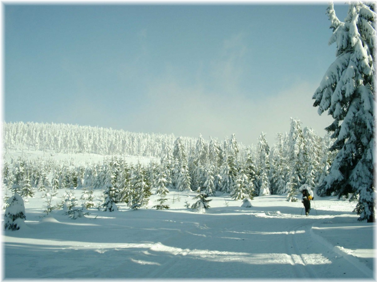 Aufstieg zum Brocken