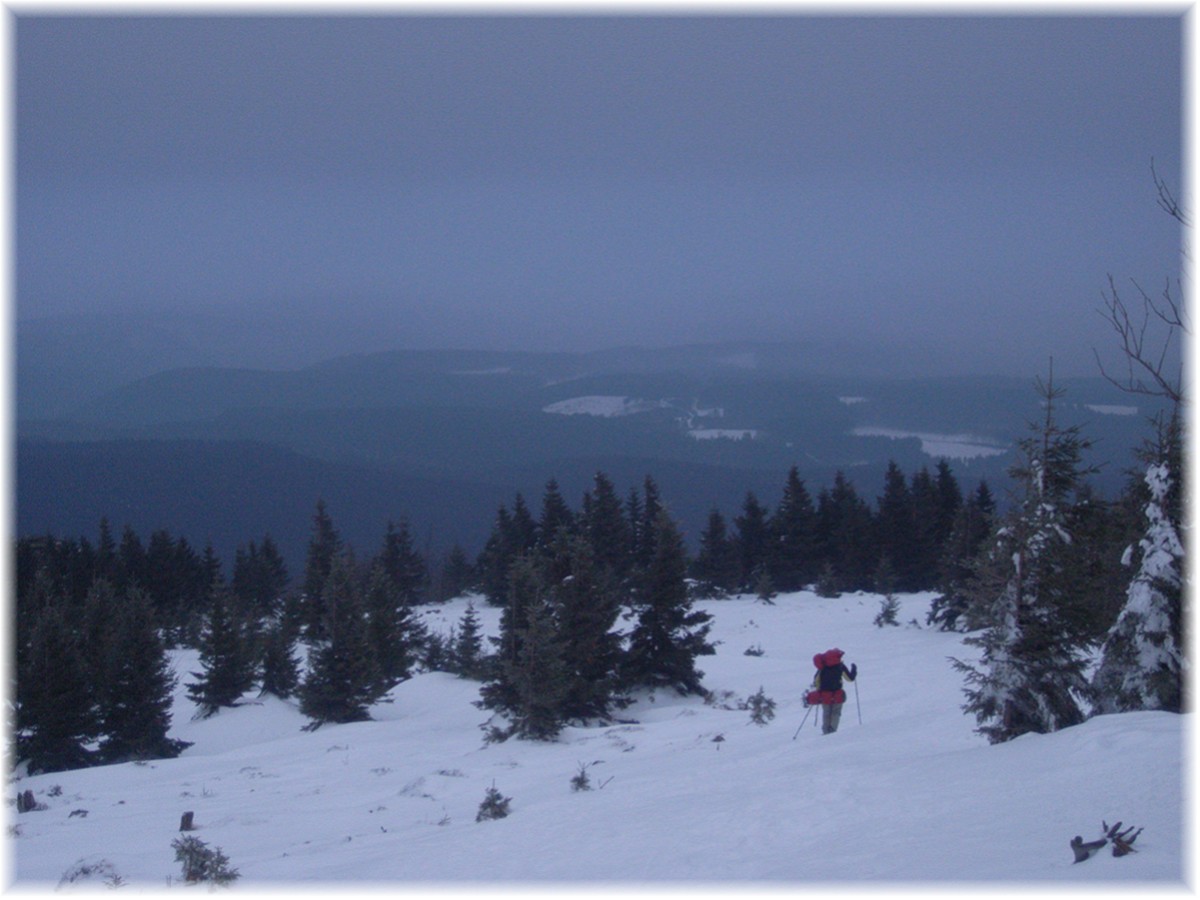 Nordseite des Brocken - Abstieg