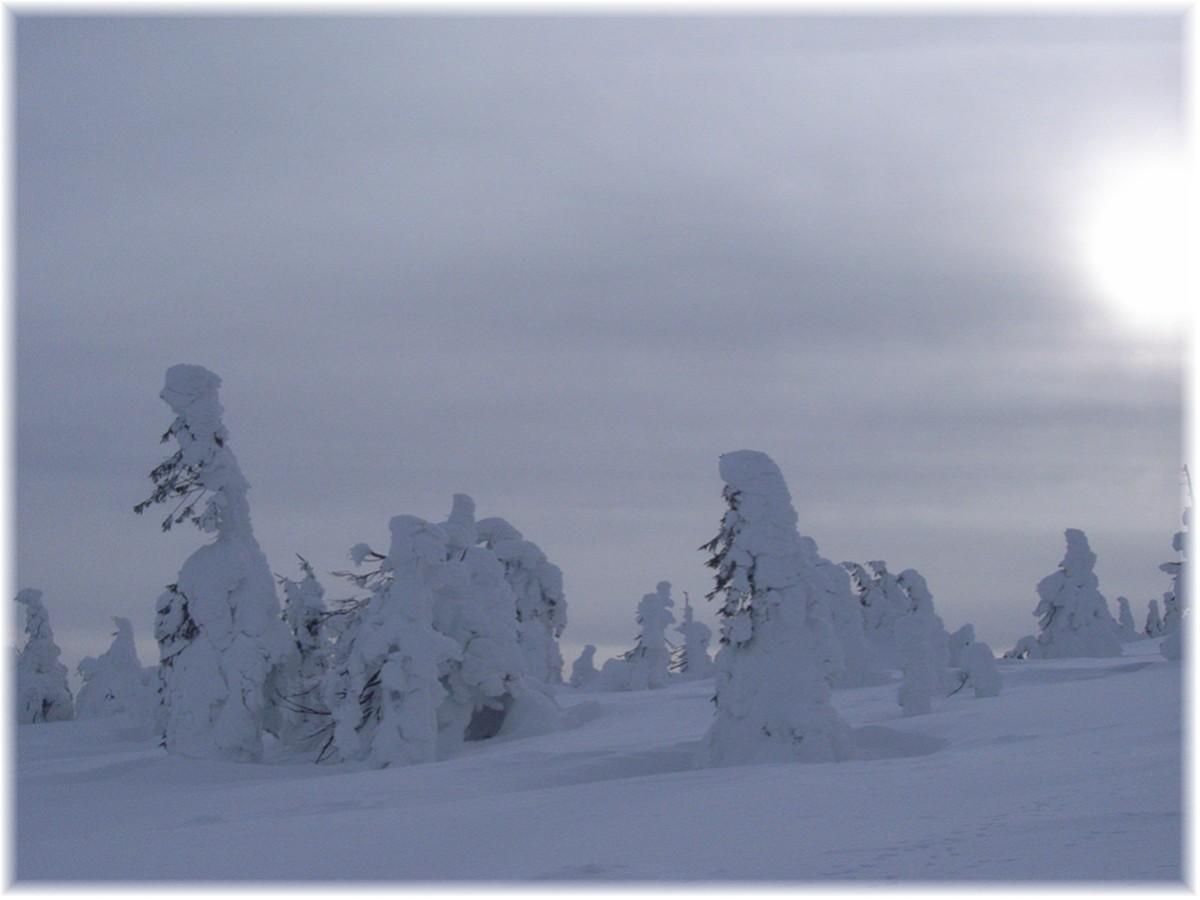 Nordseite des Brocken