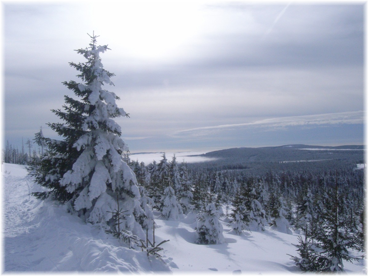 Nordseite des Brocken