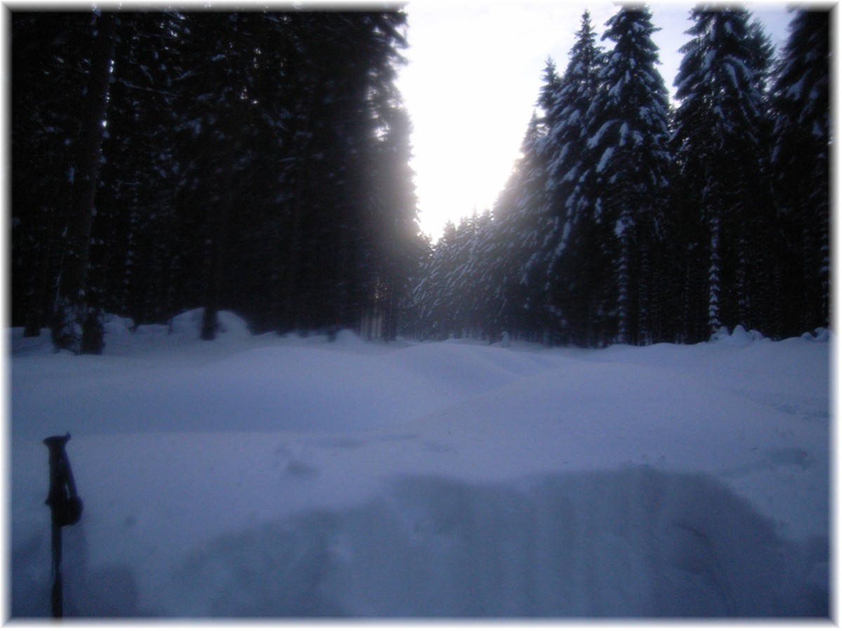 Im verschneiten Harz