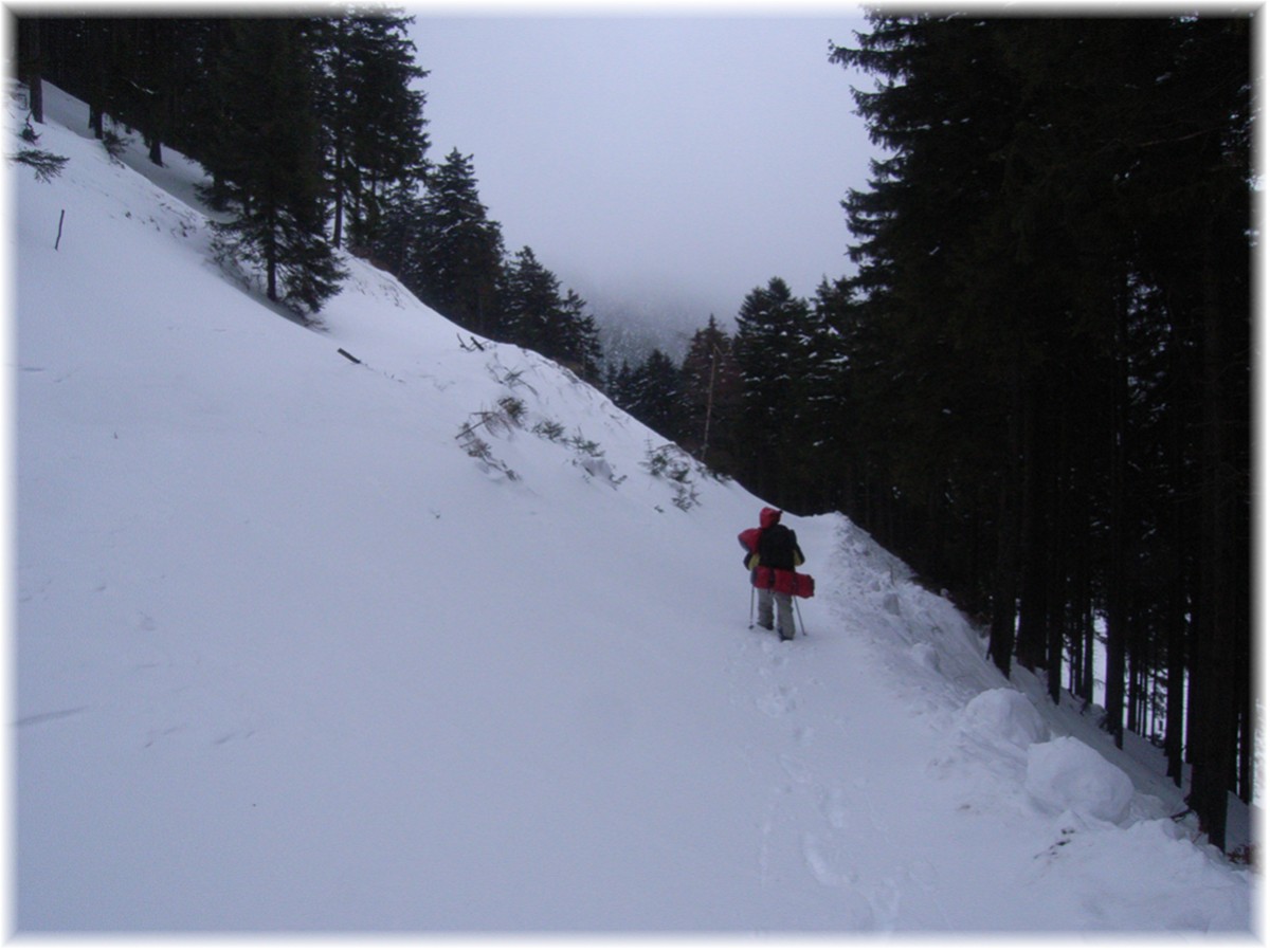 Verschneiter Harz