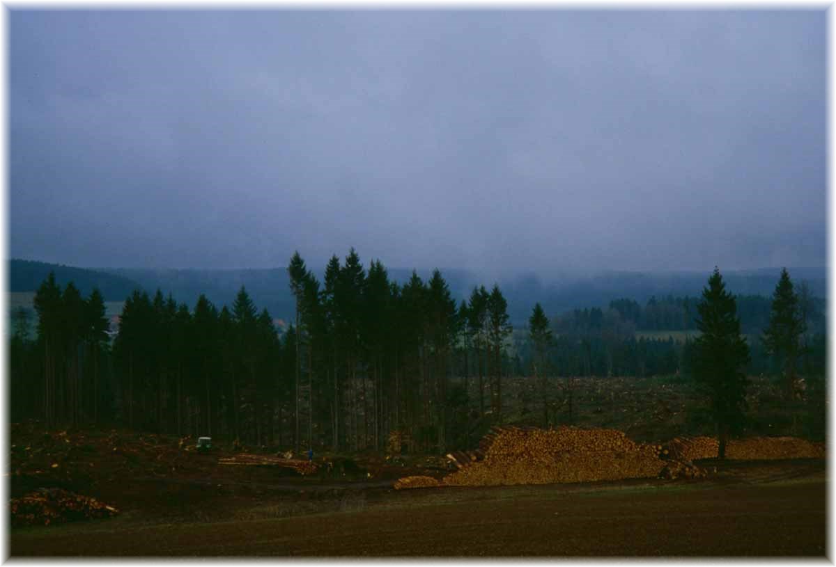 Fernwanderweg E1, Waldschäden nach Orkan Lothar