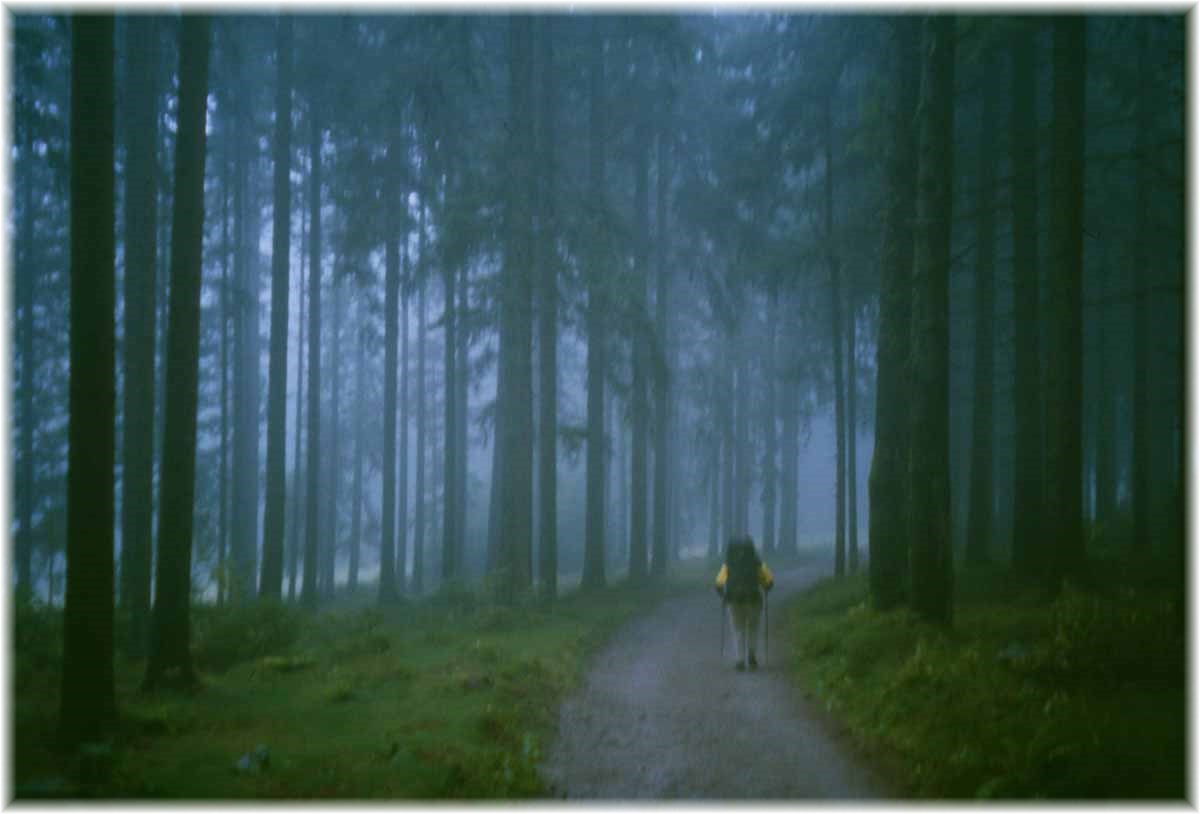 Fernwanderweg E1, Schwarzwald