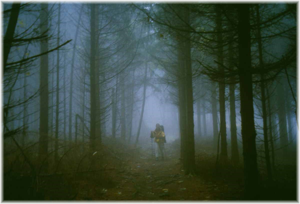 Fernwanderweg E1, Schwarzwald