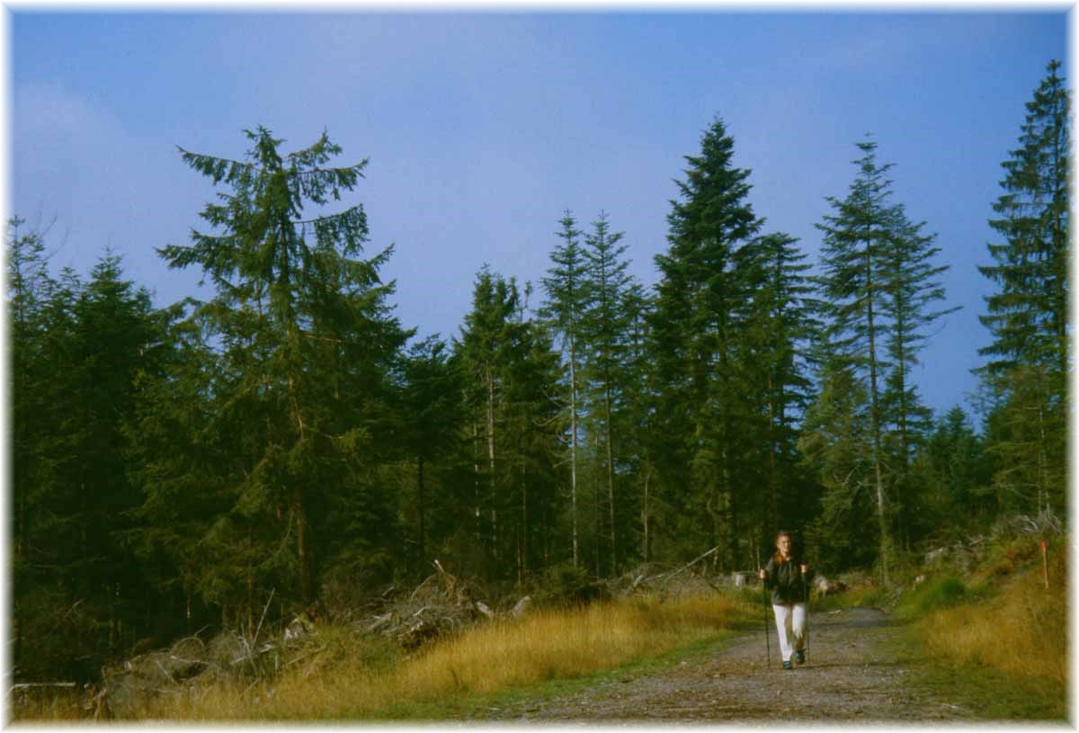 Fernwanderweg E1, Schwarzwald