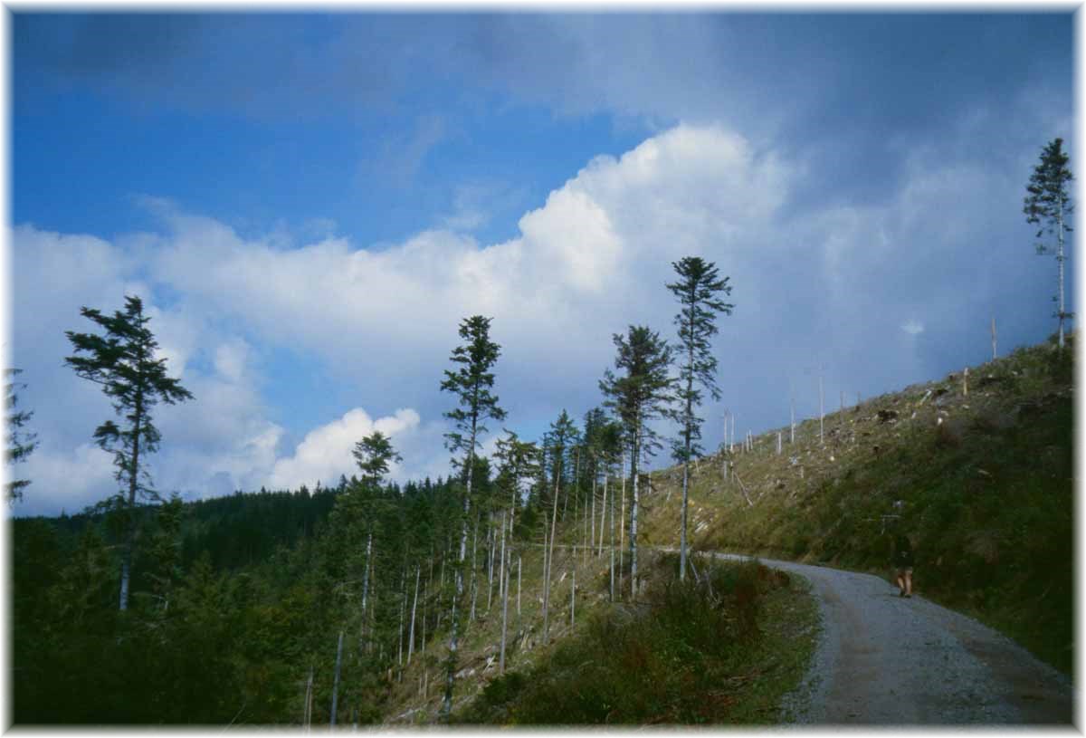 Fernwanderweg E1, Schwarzwald