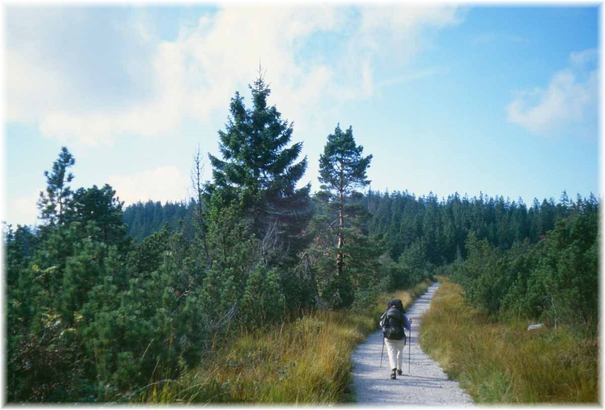 Fernwanderweg E1, Schwarzwald