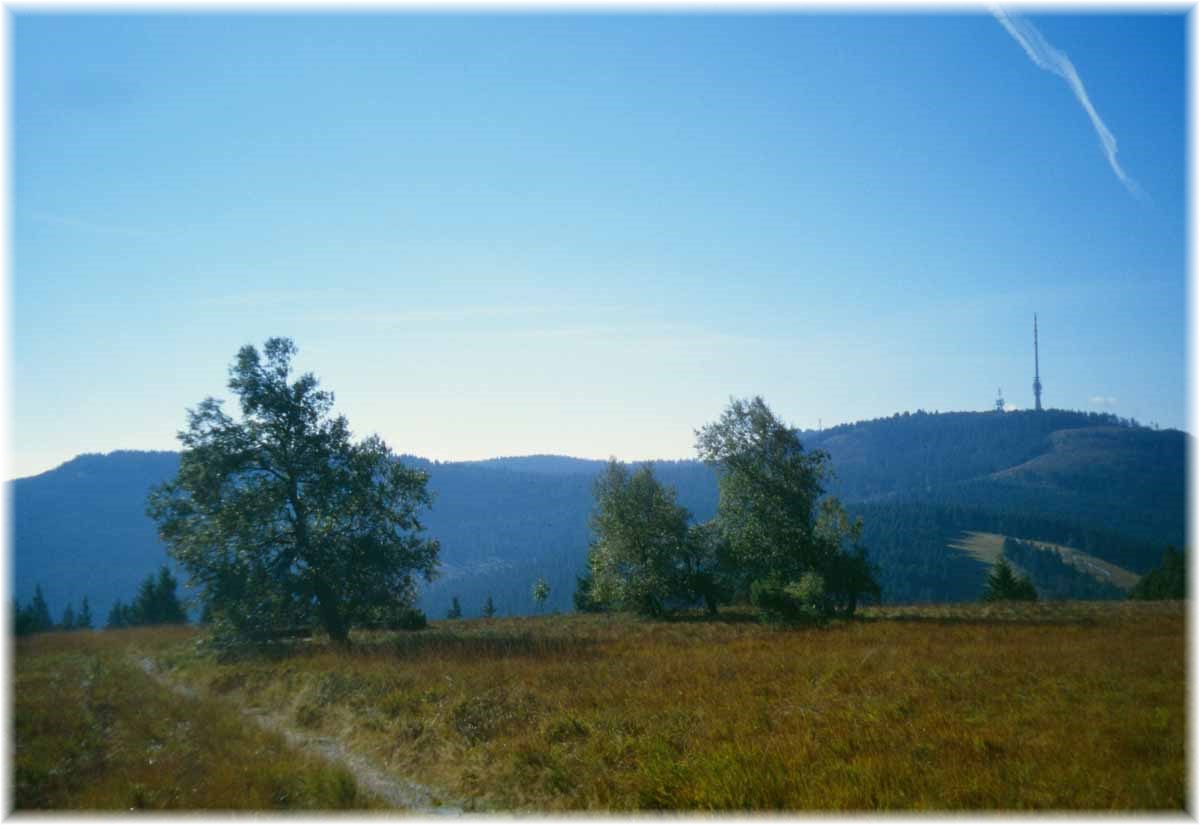 Fernwanderweg E1, Schliffkopf, Schwarzwald