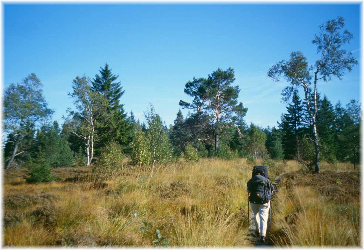 Fernwanderweg E1, Schwarzwald