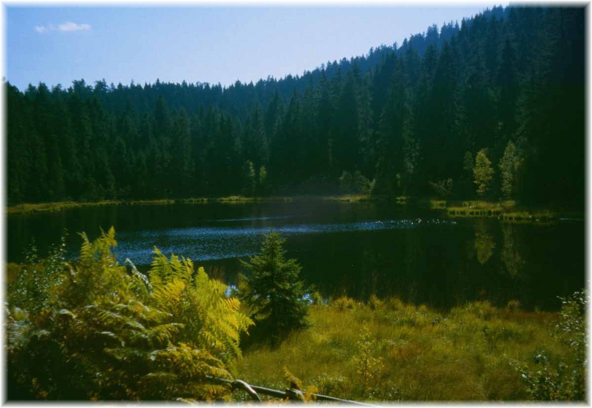 Fernwanderweg E1, Mümmelsee, Schwarzwald