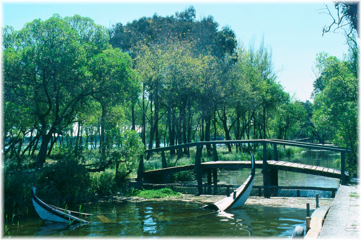 Portugal, Aveiro/ Barra