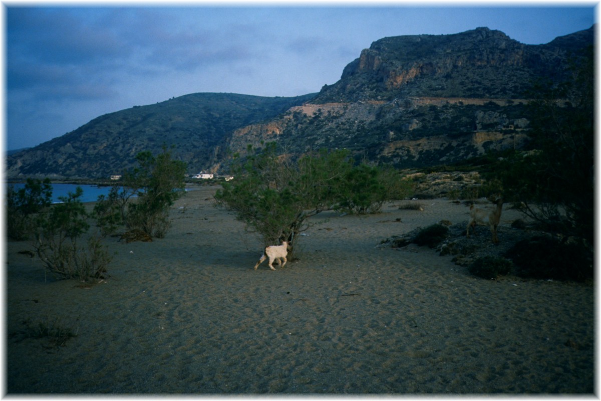 Am Strand von Palaiochora