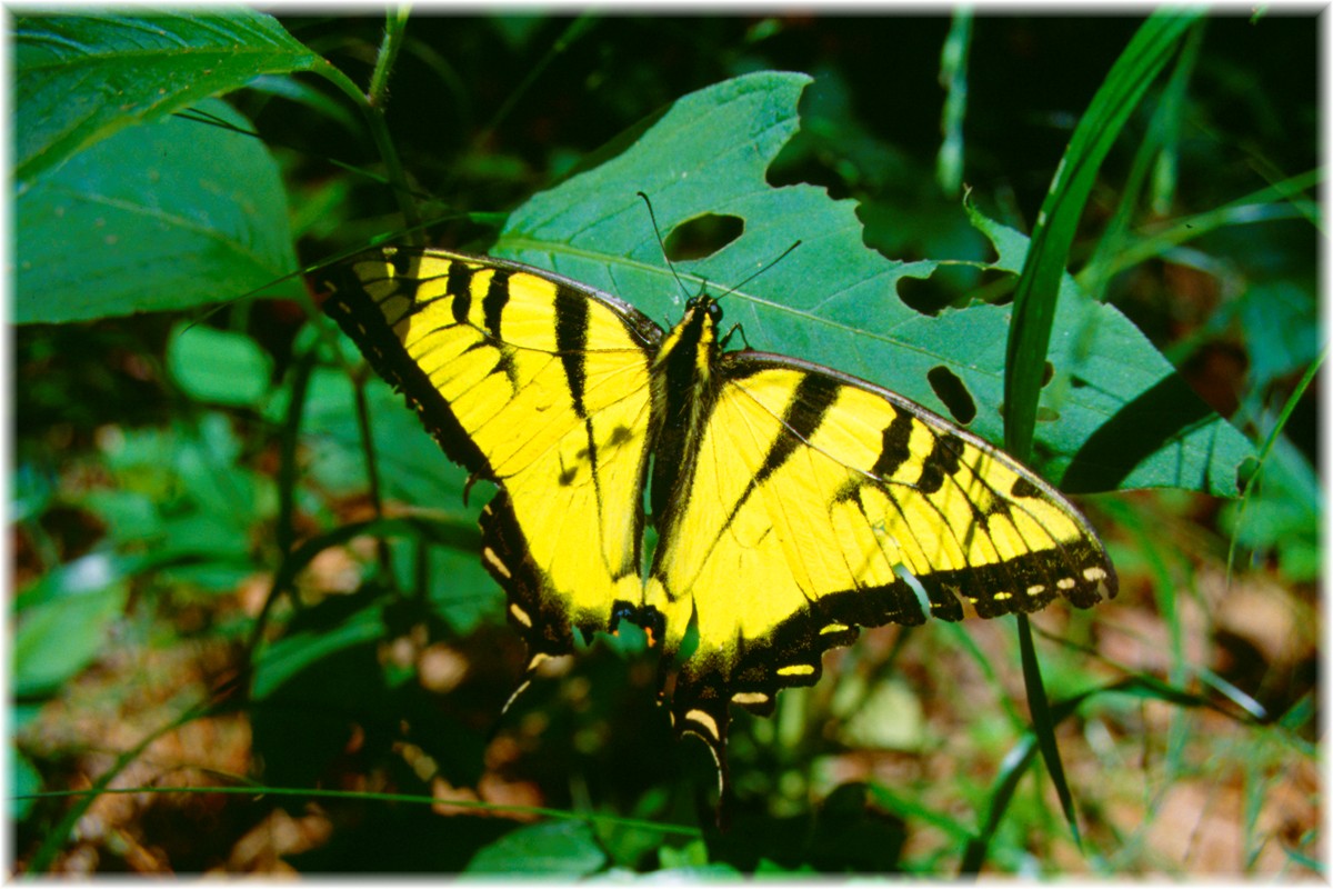 USA, Ohio